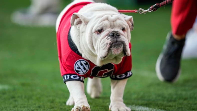 NCAA Football: Auburn at Georgia