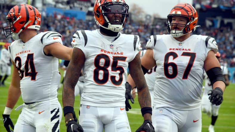 nfl wide receiver rankings: tee higgins