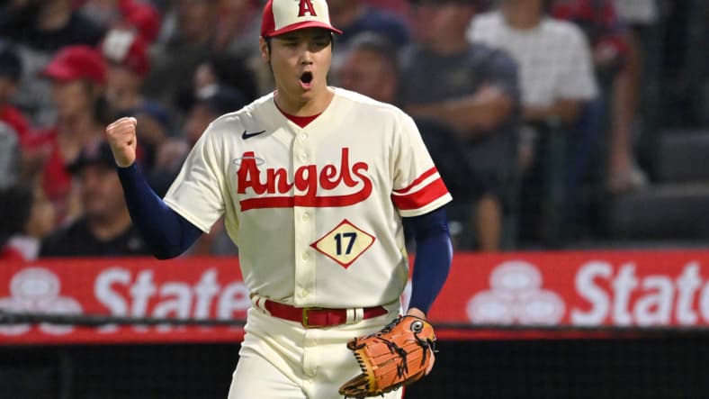 shohei ohtani