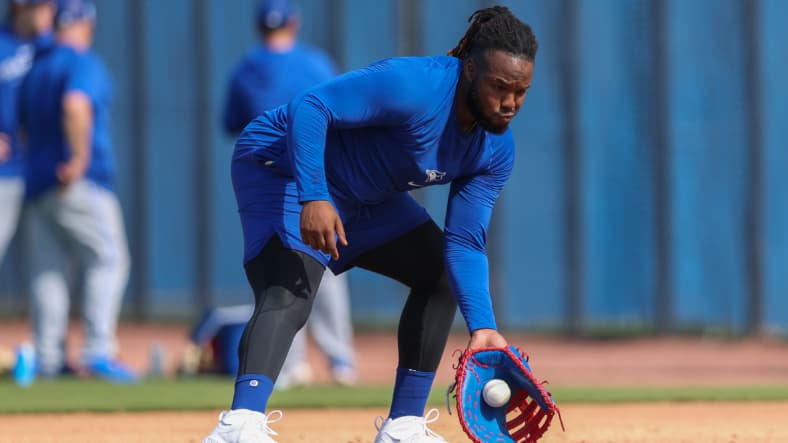 vladimir guerrero jr.