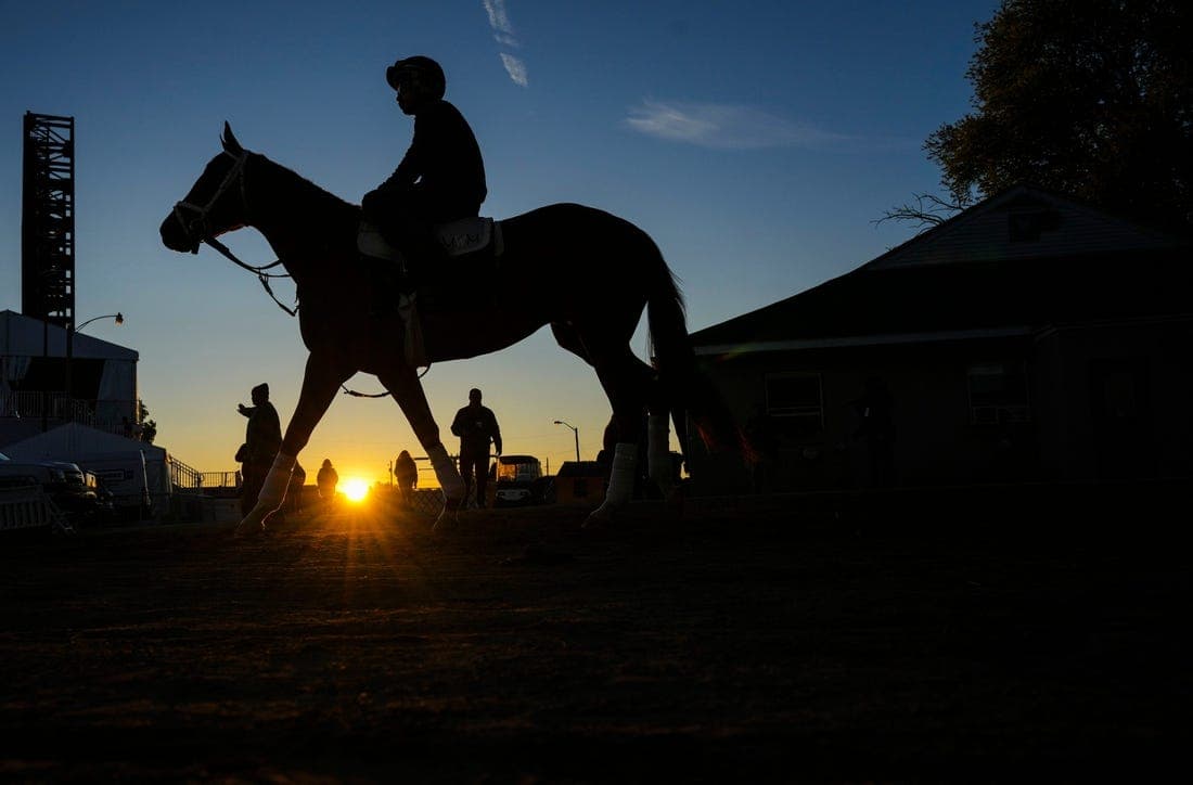 Grade 1-winning son of Curlin sold to stand in Turkey from 2027