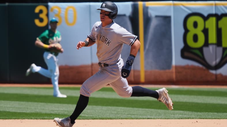 anthony volpe, new york yankees