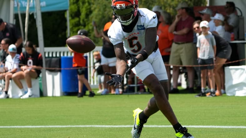 nfl wide receiver rankings: tee higgins