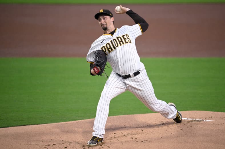 blake snell