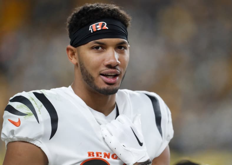 NFL: Cincinnati Bengals at Pittsburgh Steelers