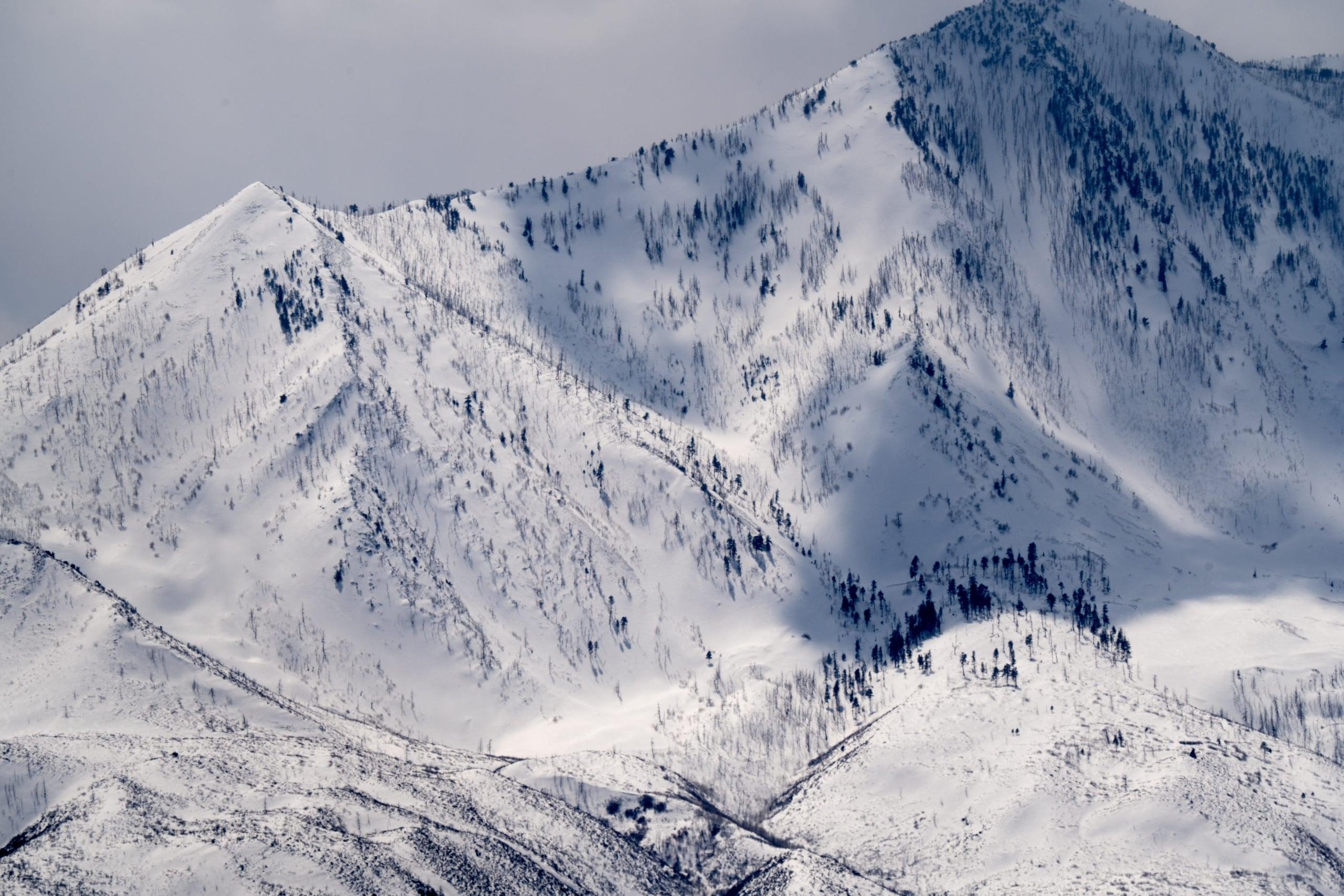 utah nhl