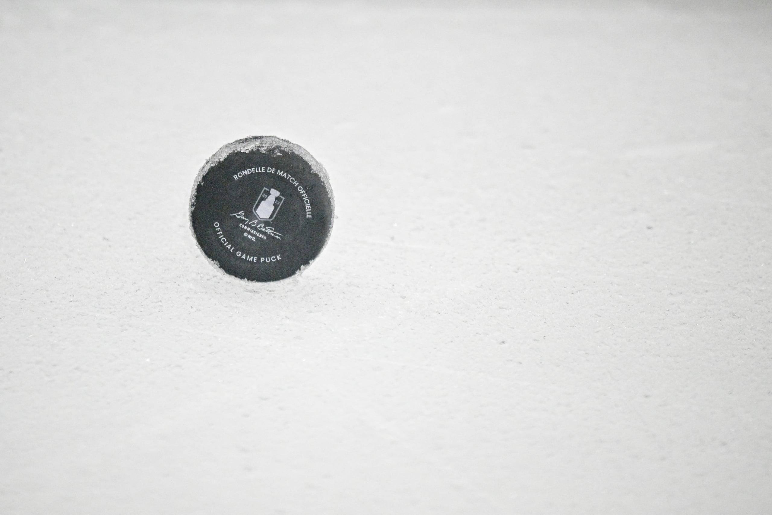 utah nhl