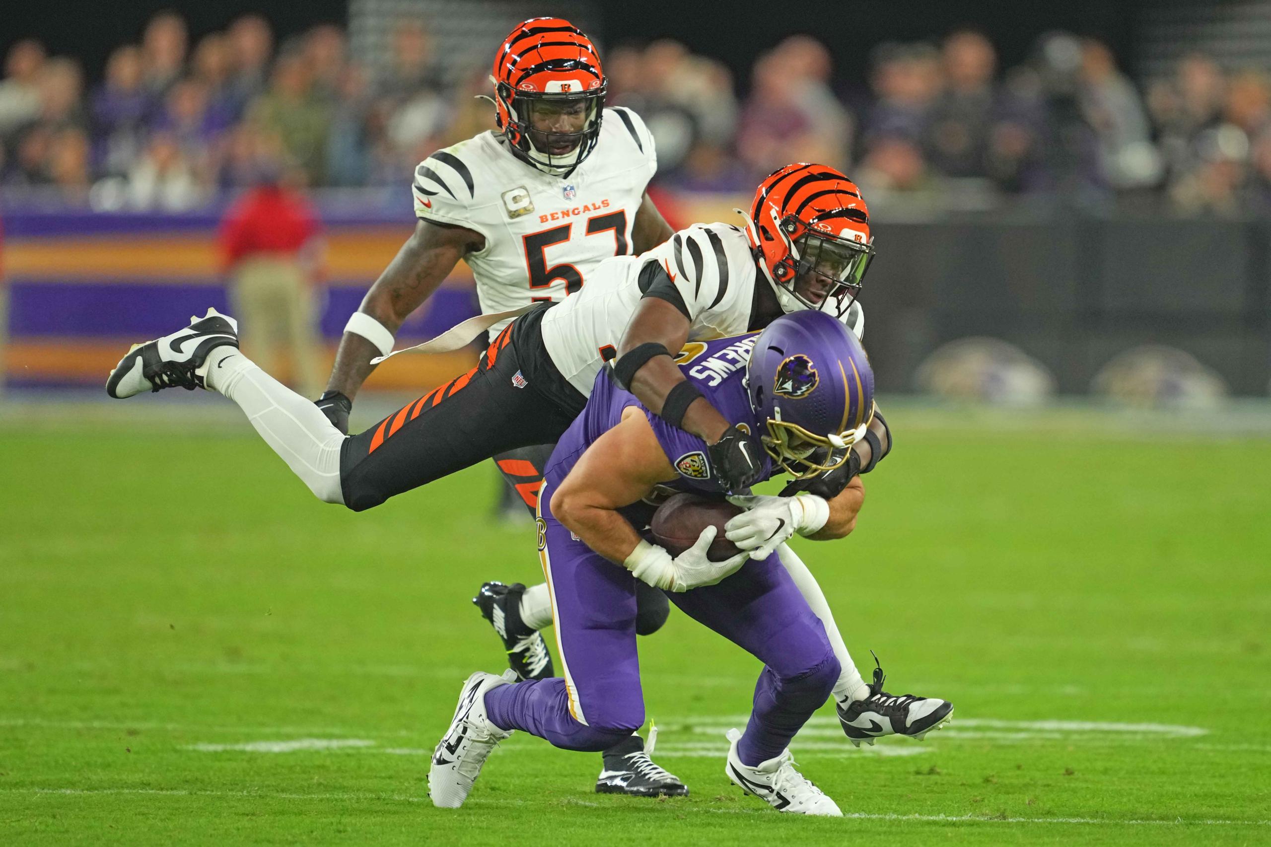 Week 13 fantasy TE rankings