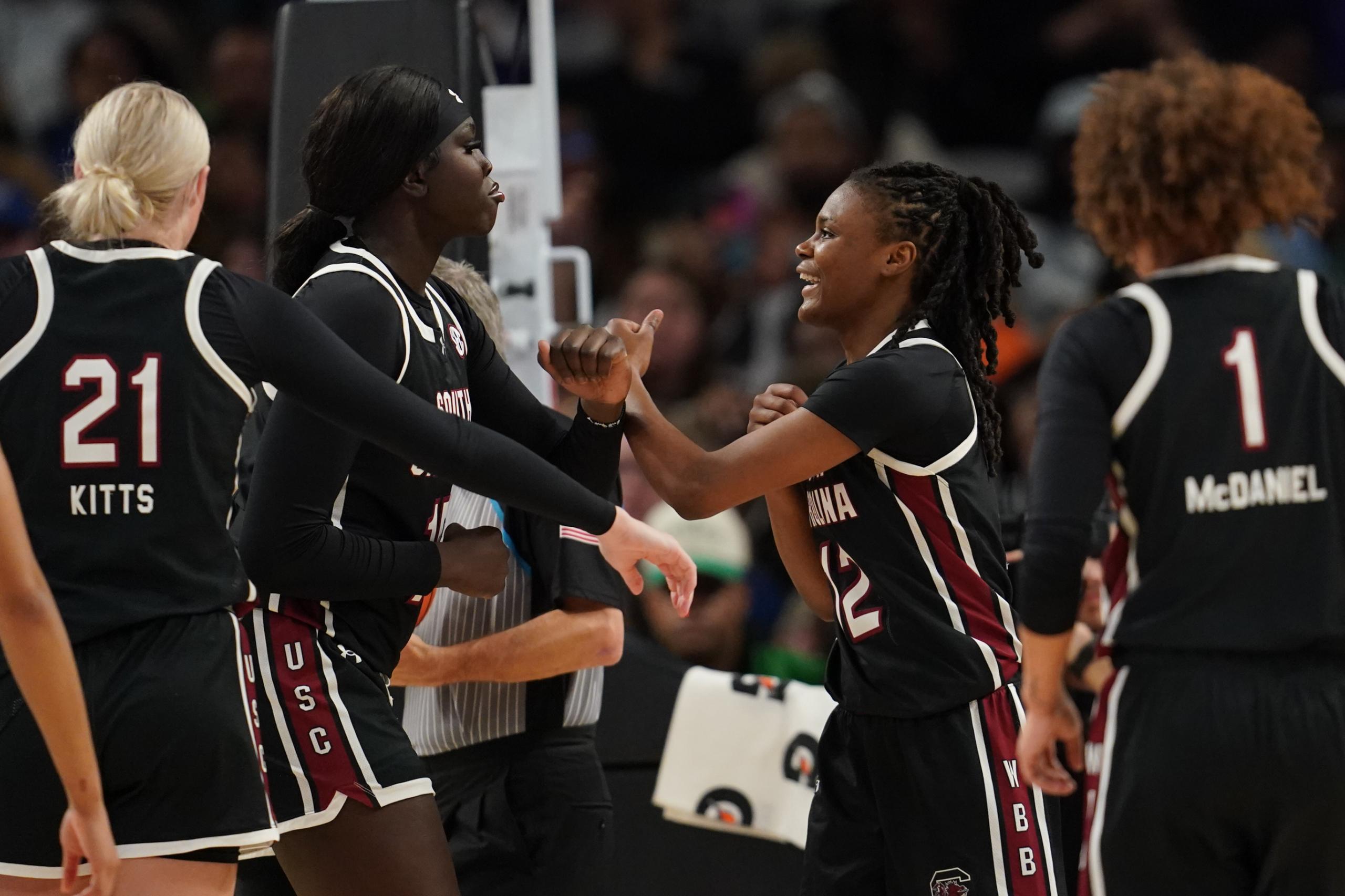South Carolina Gamecocks