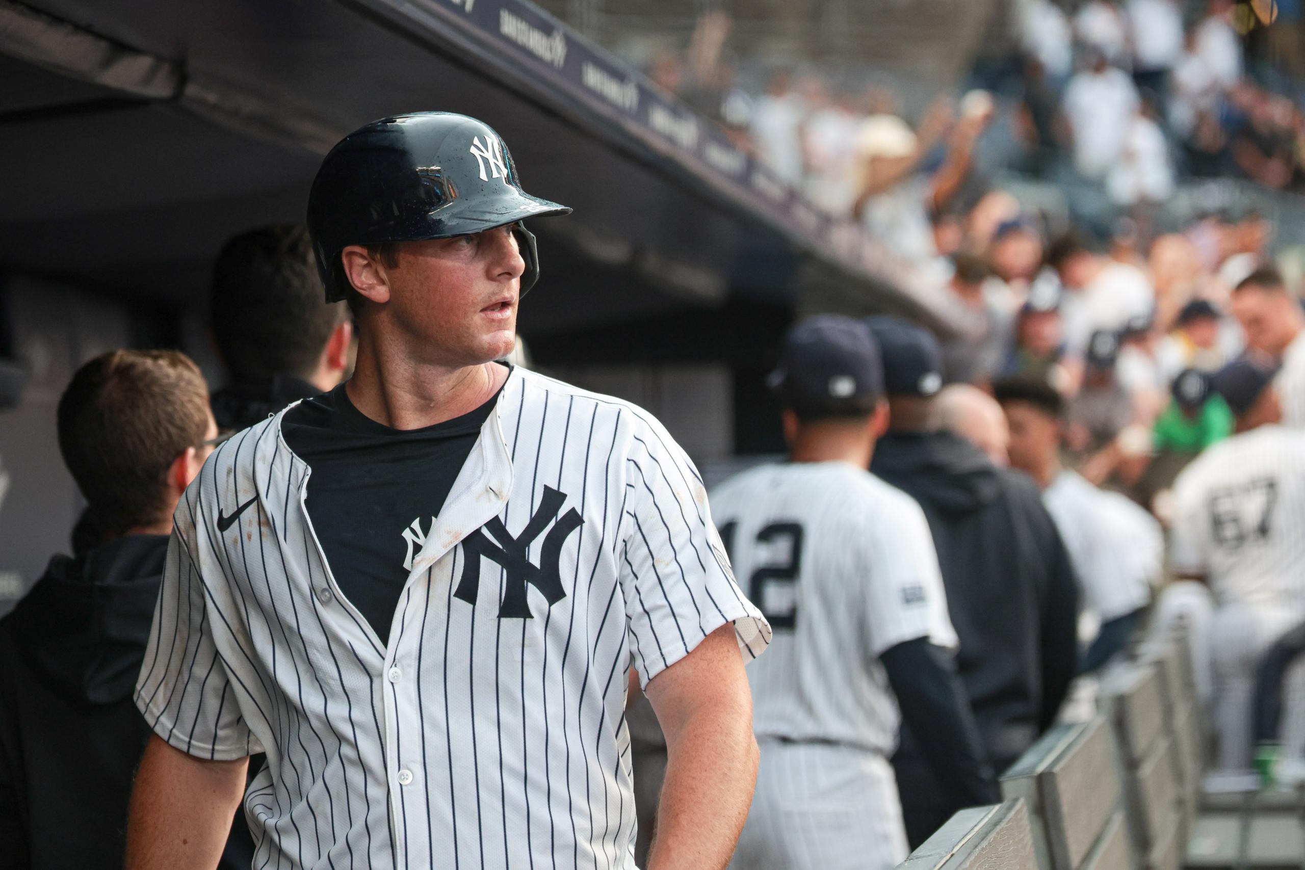 dj lemahieu