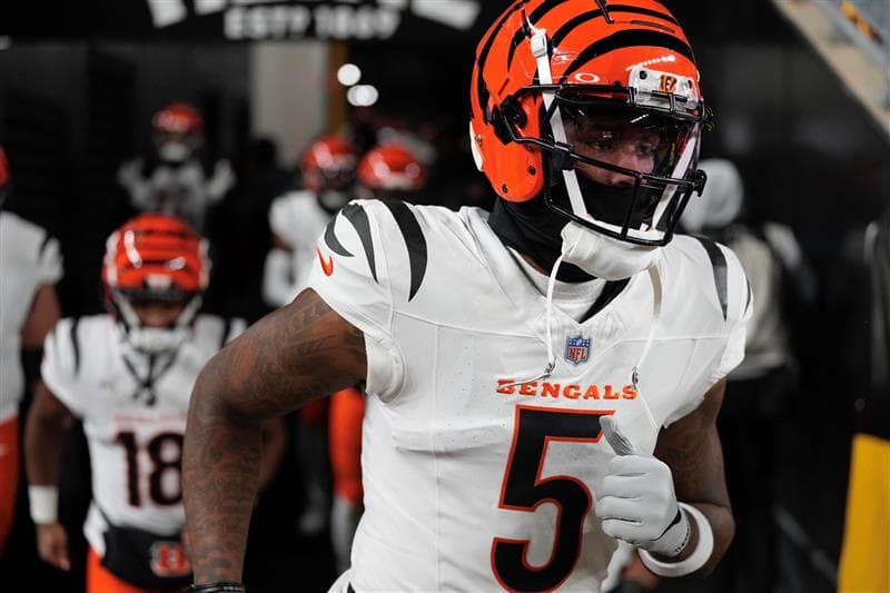 tee higgins