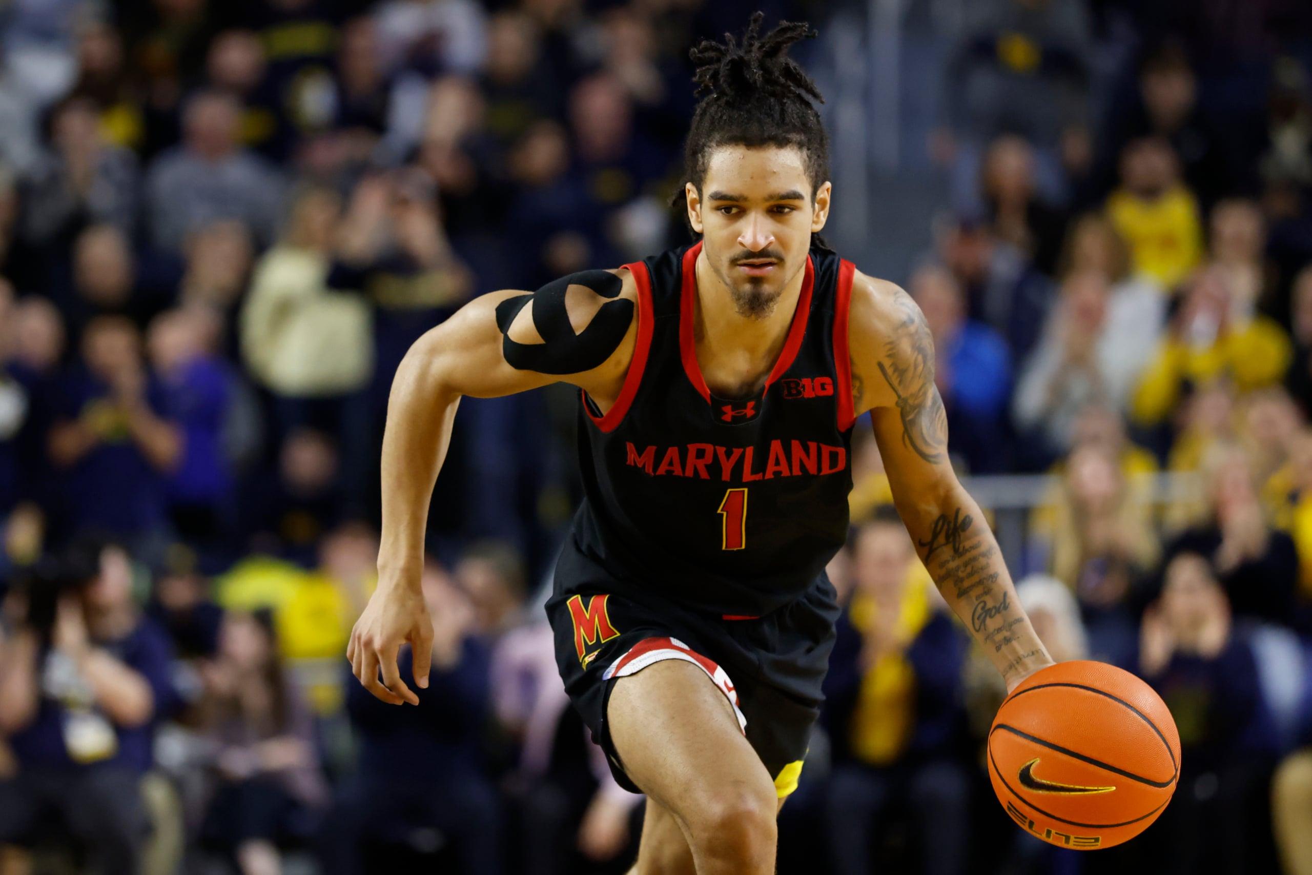 Maryland Terrapins