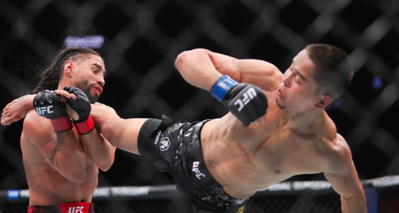ufc flyweight rankings