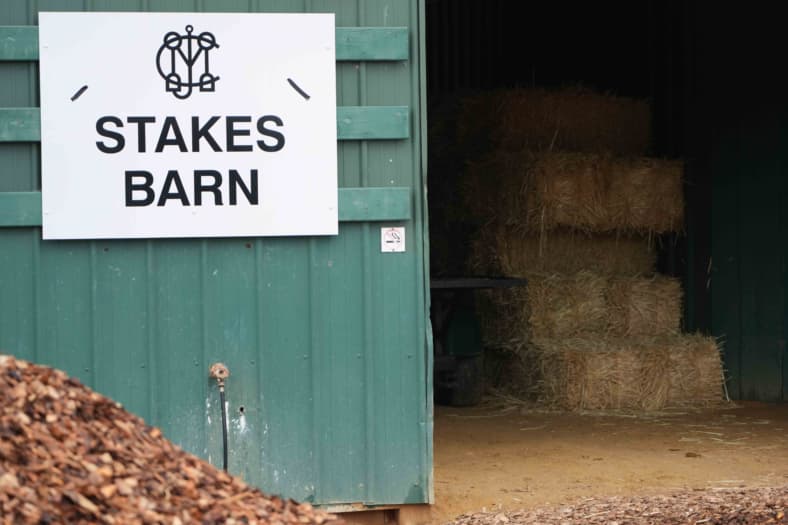 preakness stakes horses