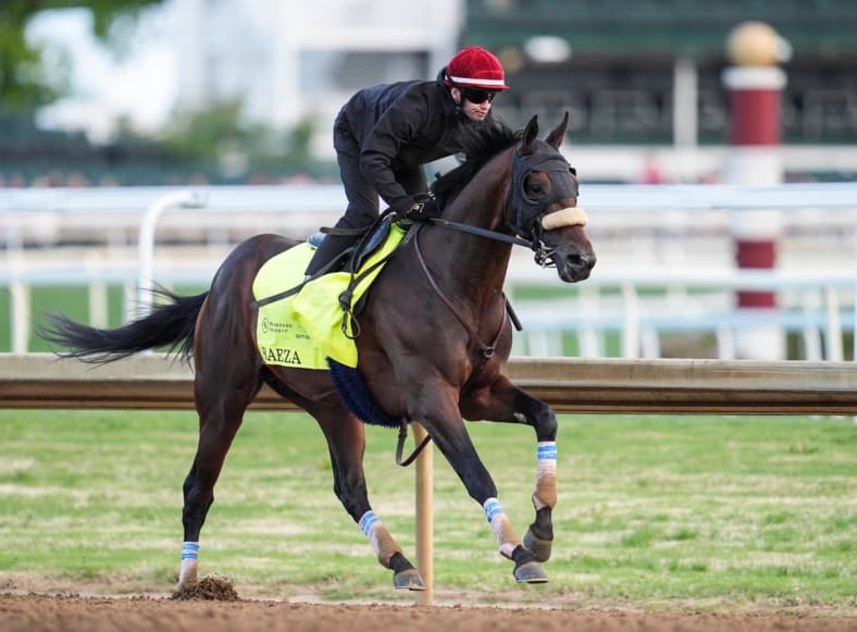 kentucky derby horses