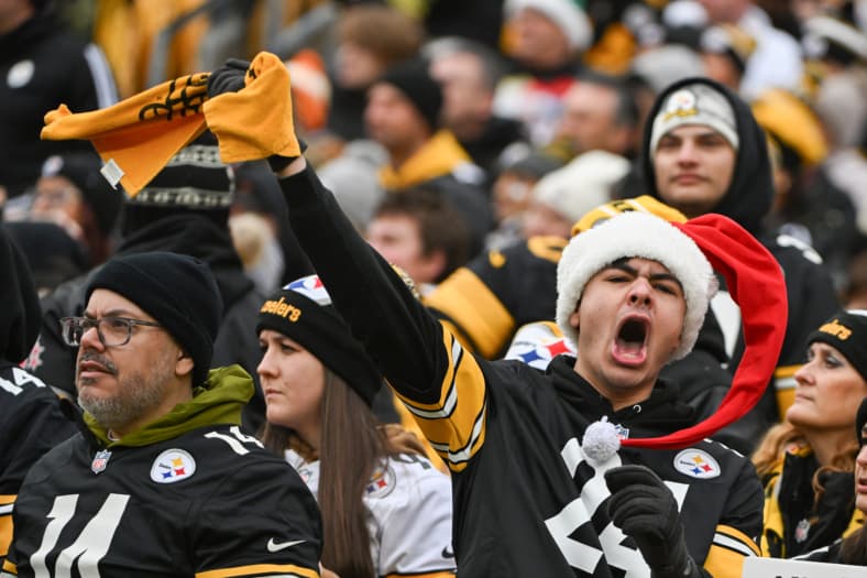 Pittsburgh Steelers fans