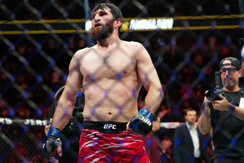 ufc light heavyweight rankings