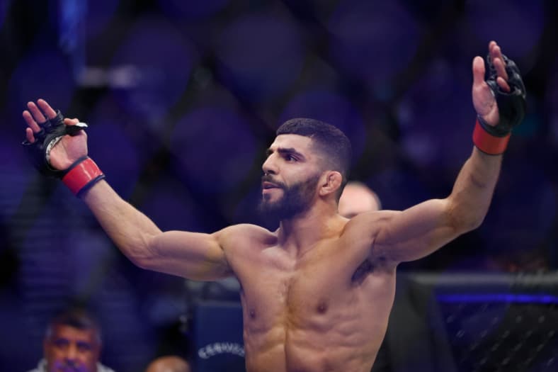 ufc flyweight rankings