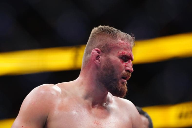 ufc light heavyweight rankings