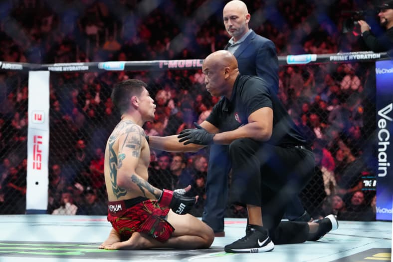 ufc flyweight rankings