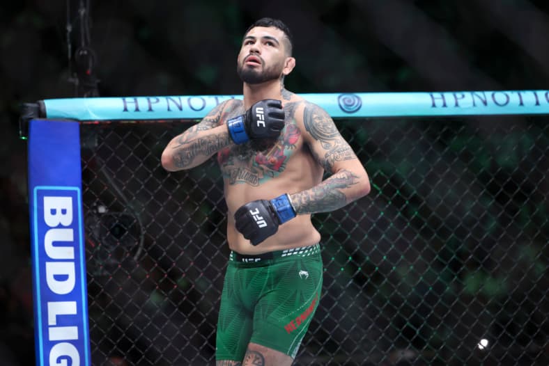 ufc middleweight rankings