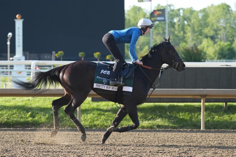 preakness stakes