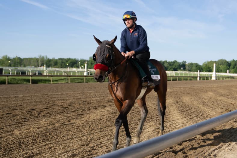 preakness stakes