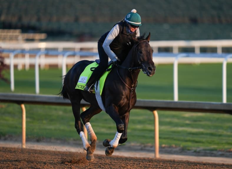 preakness stakes