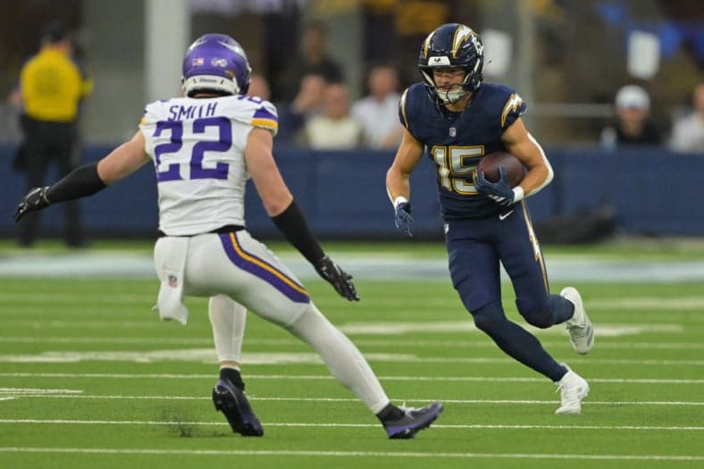Minnesota Vikings