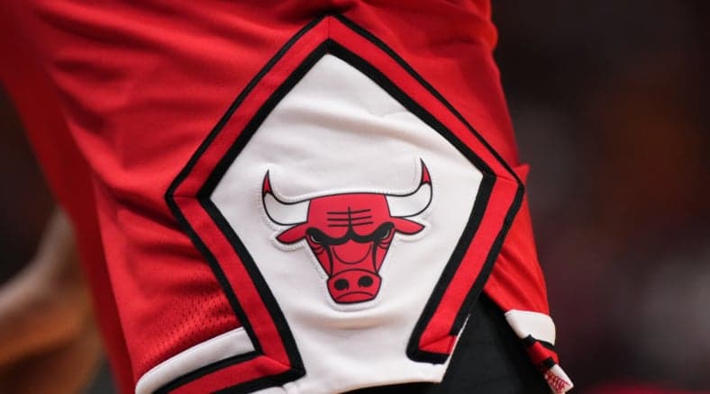 chicago bulls