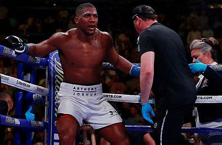 Anthony Joshua v Andy Ruiz Jr – WBA Super, IBF, WBO & IBO World Heavyweight Titles