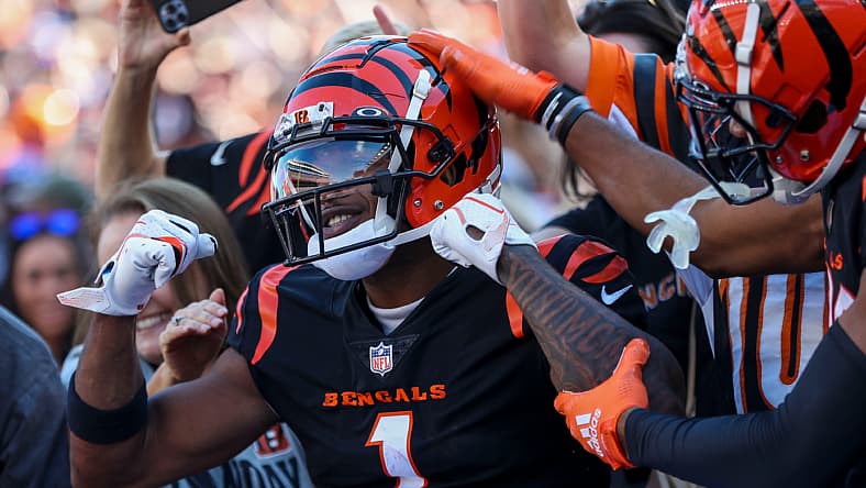 NFL: Atlanta Falcons at Cincinnati Bengals
