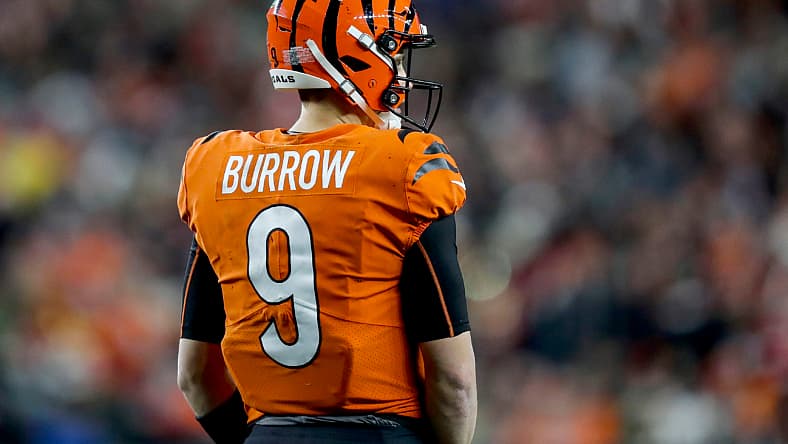 NFL: Kansas City Chiefs at Cincinnati Bengals