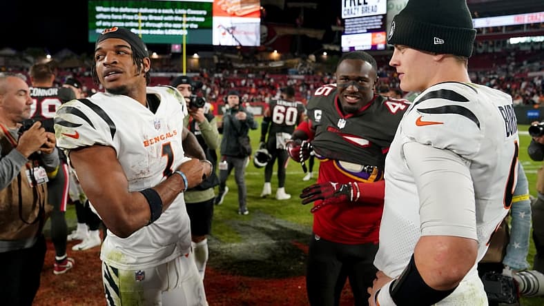 nfl picks against the spread: cincinnati bengals over buffalo bills