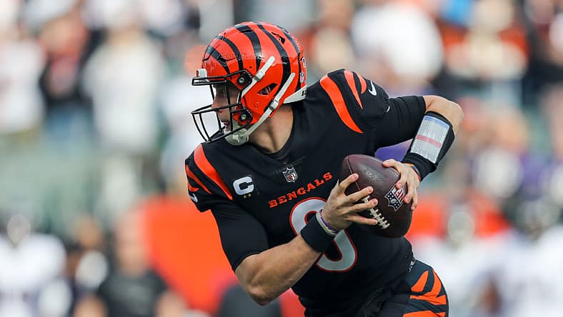 NFL: Baltimore Ravens at Cincinnati Bengals