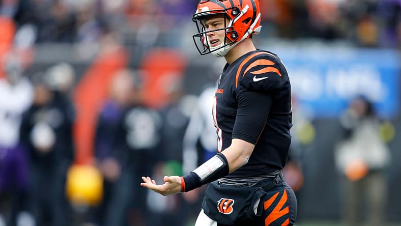 NFL: Baltimore Ravens at Cincinnati Bengals