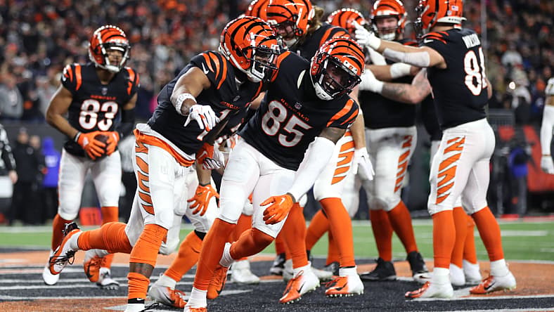NFL: Baltimore Ravens at Cincinnati Bengals