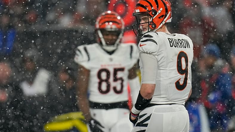 joe burrow, cincinnati bengals