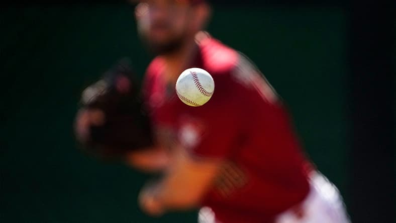 arizona diamondbacks