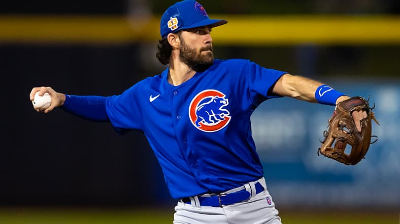 dansby swanson