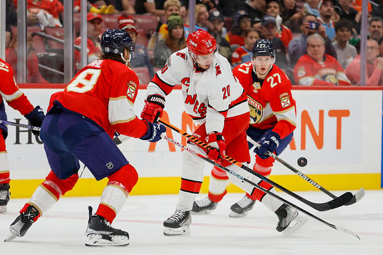 carolina hurricanes, flordia panthers