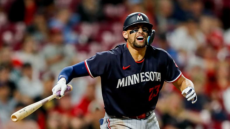 minnesota twins