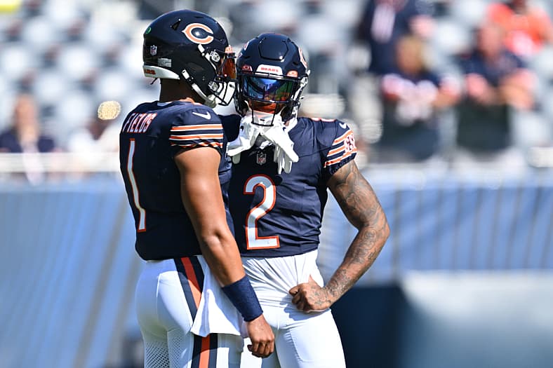 chicago bears