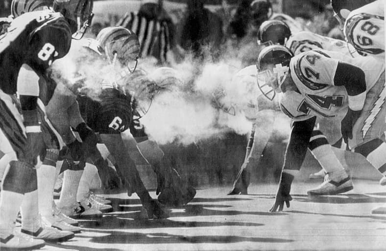 cincinnati bengals
