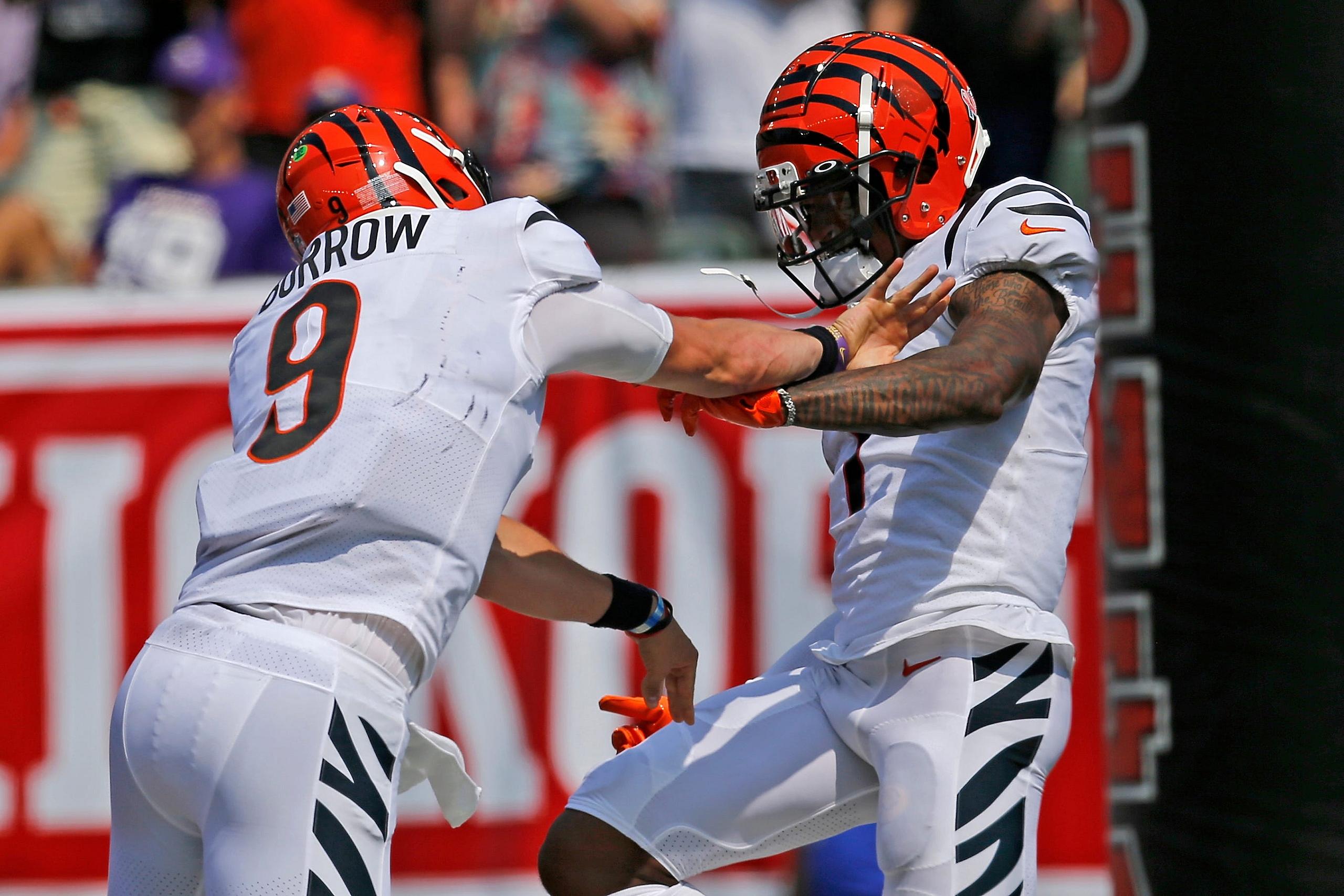 Cincinnati Bengals