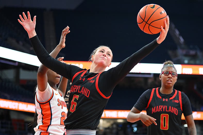 Maryland Terrapins