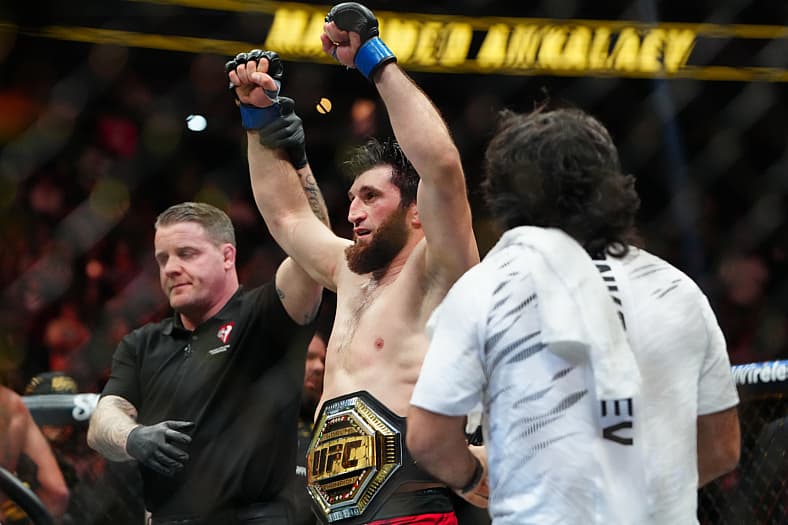 ufc light heavyweight rankings