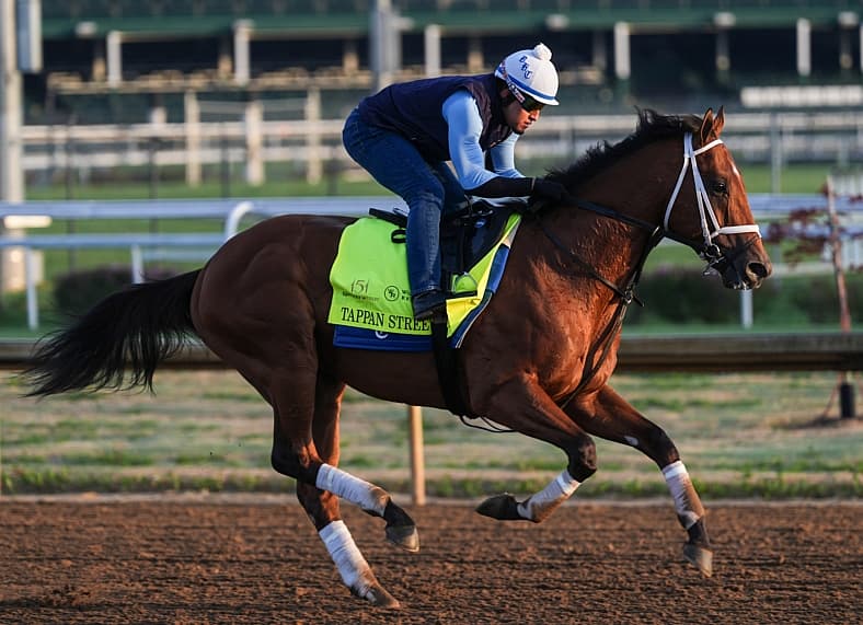 kentucky derby horses