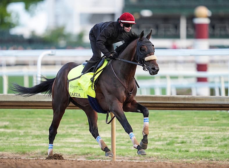 kentucky derby horses