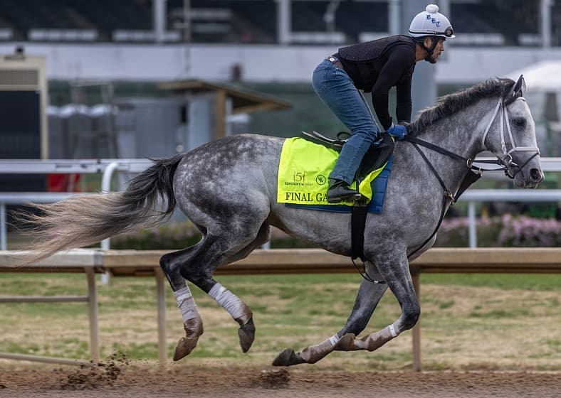 kentucky derby horses